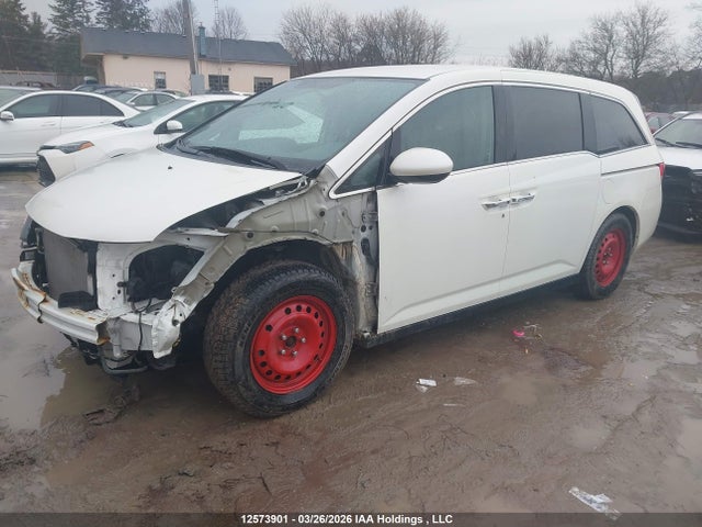 5FNRL5H47HB502374 Honda ODYSSEY EX
