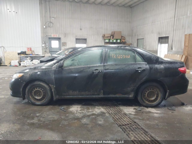 12560352 :رقم المزاد ، 2T1BU40E49C062651 vin ، 2009 Toyota Corolla Ce مزاد بيع