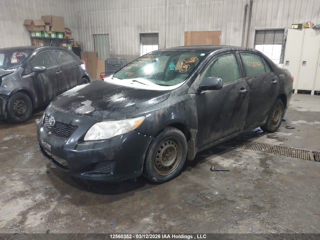 12560352 :رقم المزاد ، 2T1BU40E49C062651 vin ، 2009 Toyota Corolla Ce مزاد بيع