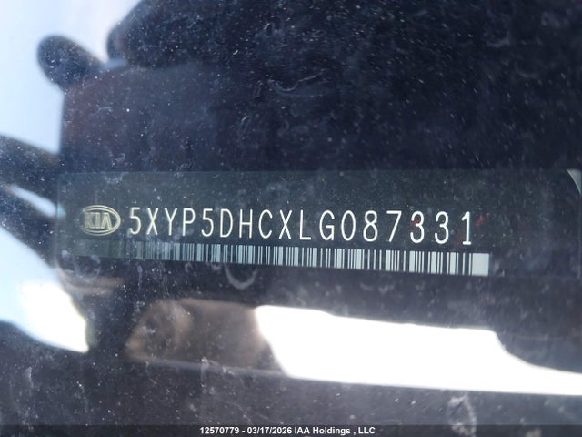 5XYP5DHCXLG087331 KIA Telluride Sx/sx Limited/sx Limited W/nappa