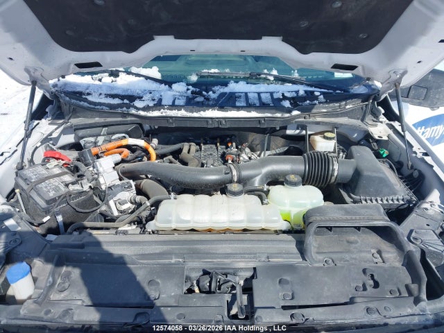 Продаж на аукціоні авто 2024 Ford F150 Xlt, vin: 1FTFW3LDXRFA14216, номер лоту: 12574058