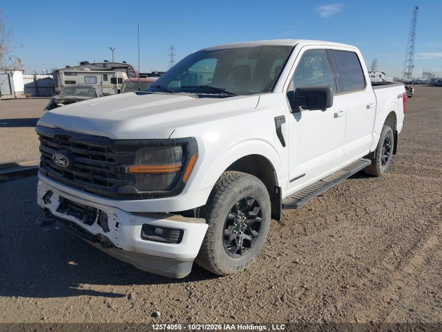 Продаж на аукціоні авто 2024 Ford F150 Xlt, vin: 1FTFW3LDXRFA14216, номер лоту: 12574058