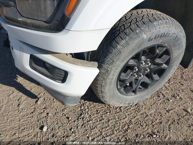 Продаж на аукціоні авто 2024 Ford F150 Xlt, vin: 1FTFW3LDXRFA14216, номер лоту: 12574058