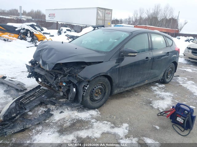 1FADP3K26EL365419 Ford Focus