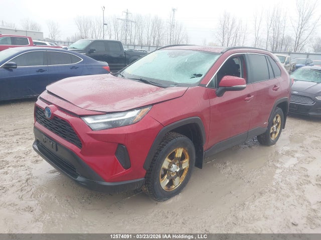 2T3RWRFV0PW172919 Toyota Rav4 Hybrid Xle