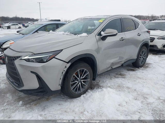 12512403 :رقم المزاد ، JTJHKCFZXS2051305 vin ، 2025 Lexus Nx 450h+ مزاد بيع
