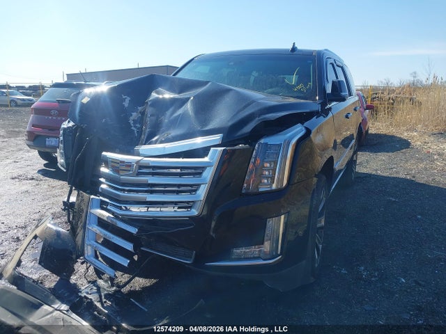 2019 Cadillac Escalade Platinum მანქანა იყიდება აუქციონზე, vin: 1GYS4DKJ4KR244303, აუქციონის ნომერი: 12574209
