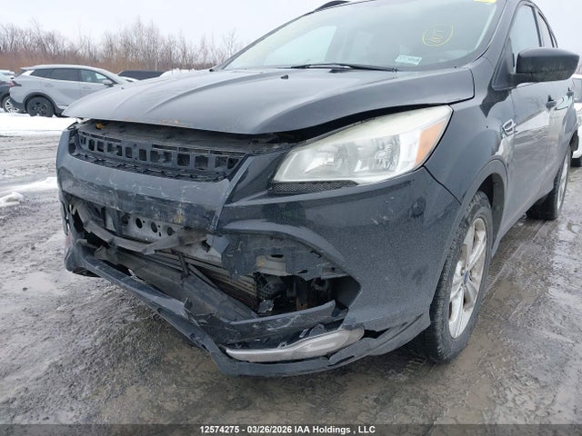 Ford Escape 2014 1FMCU0GX0EUA87320 Image 6