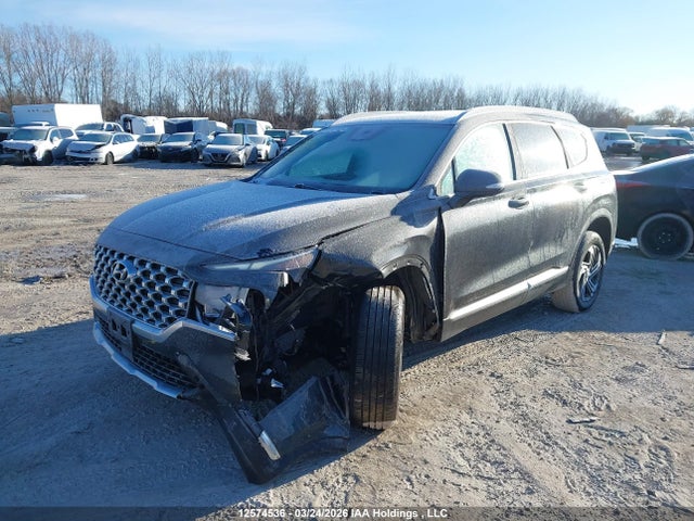 Продажа на аукционе авто 2023 Hyundai Santa Fe Preferred Awd With Trend Package, vin: 5NMS3DAJ5PH572982, номер лота: 12574536