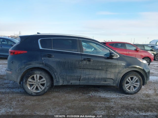Продажа на аукционе авто 2019 Kia Sportage Lx, vin: KNDPMCAC4K7500315, номер лота: 12516270