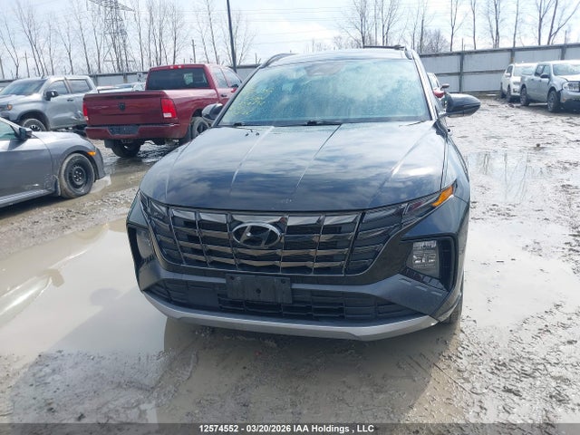 Продаж на аукціоні авто 2023 Hyundai Tucson Sel, vin: KM8JCCAE6PU239896, номер лоту: 12574552