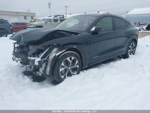 Продаж на аукціоні авто 2021 Ford Mustang Mach-e Premium, vin: 3FMTK3SU3MMA33789, номер лоту: 12574603