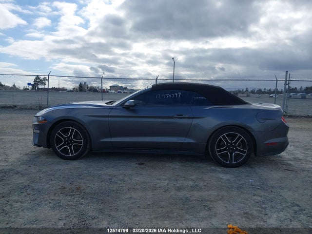 1FATP8UH0P5112078 Ford Mustang