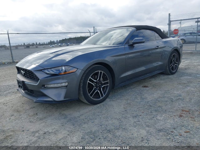 1FATP8UH0P5112078 Ford Mustang