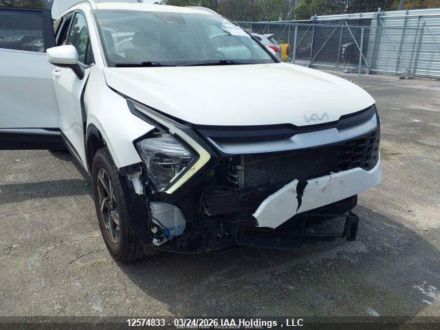Продаж на аукціоні авто 2023 Kia Sportage Lx, vin: KNDPUCAF5P7170797, номер лоту: 12574833