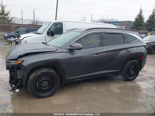 2024 Hyundai Tucson Trend Awd მანქანა იყიდება აუქციონზე, vin: KM8JCCDE7RU338547, აუქციონის ნომერი: 12574872