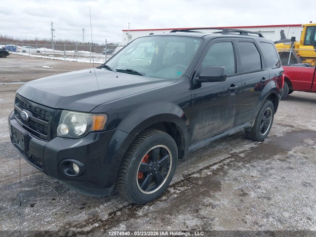 Продаж на аукціоні авто 2011 Ford Escape Xlt Automatic, vin: 1FMCU0D76BKA63969, номер лоту: 12574940