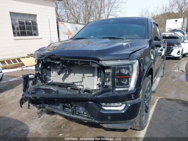 Продажа на аукционе авто 2023 Ford F150 Supercrew, vin: 1FTEW1EP1PKE40954, номер лота: 12575004