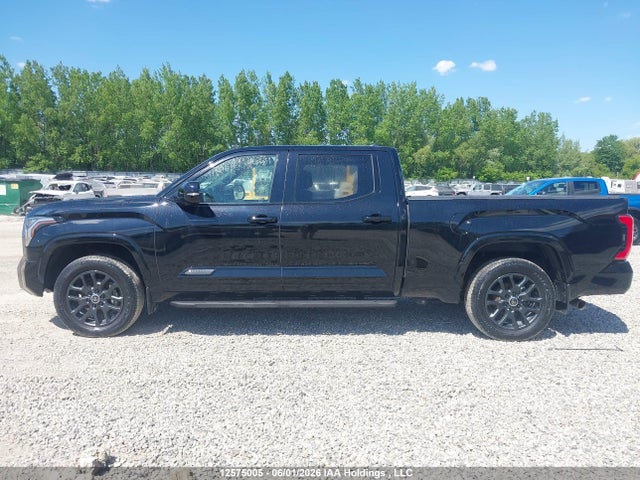 Продаж на аукціоні авто 2024 Toyota Tundra Crewmax Platinum/crewmax 1794, vin: 5TFNA5EC9RX029889, номер лоту: 12575005