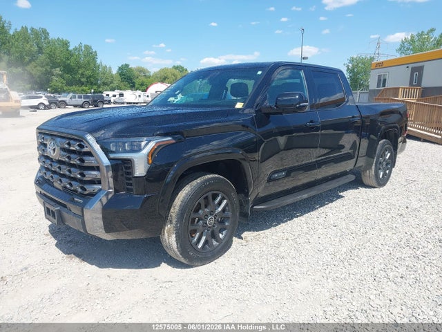 Продаж на аукціоні авто 2024 Toyota Tundra Crewmax Platinum/crewmax 1794, vin: 5TFNA5EC9RX029889, номер лоту: 12575005