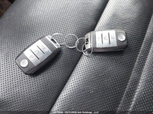 5XYPKDA51LG690656 KIA Sorento