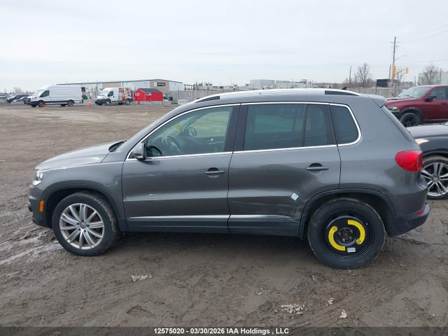 WVGJV7AX7FW511975 Volkswagen Tiguan Comfortline/highline/special Edition/trendline