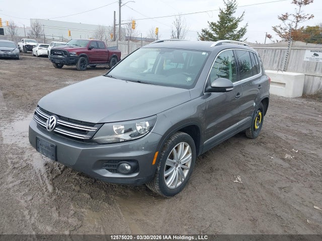 WVGJV7AX7FW511975 Volkswagen Tiguan Comfortline/highline/special Edition/trendline