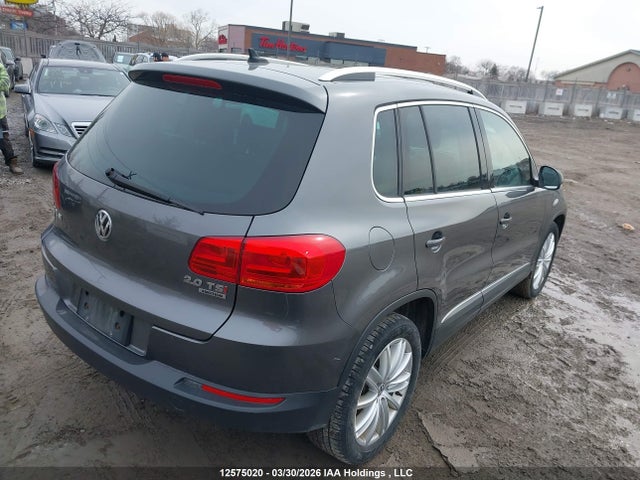 WVGJV7AX7FW511975 Volkswagen Tiguan Comfortline/highline/special Edition/trendline