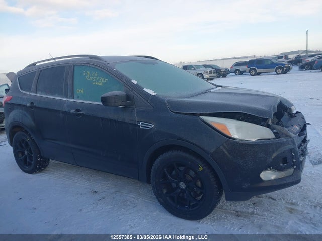 Продажа на аукционе авто 2014 Ford Escape Se, vin: 1FMCU9G9XEUD82947, номер лота: 12557385