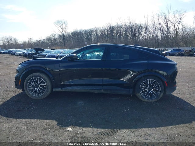 2025 Ford Mustang Mach-e მანქანა იყიდება აუქციონზე, vin: 3FMTK3SU6SMA43181, აუქციონის ნომერი: 12575136