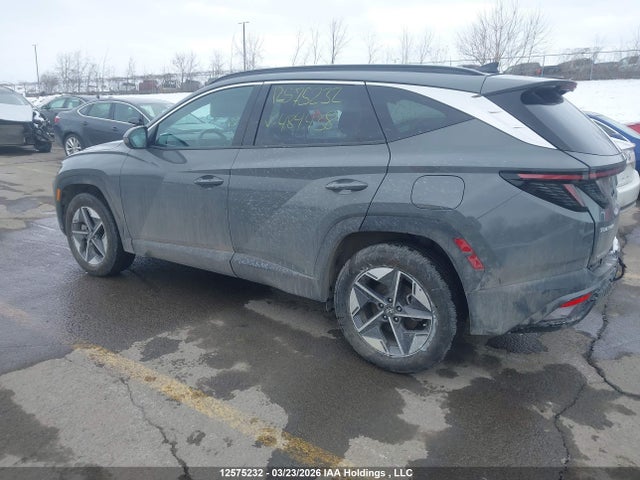 12575232 :رقم المزاد ، 5NMJCCDE6SH484438 vin ، 2025 Hyundai Tucson N Line مزاد بيع