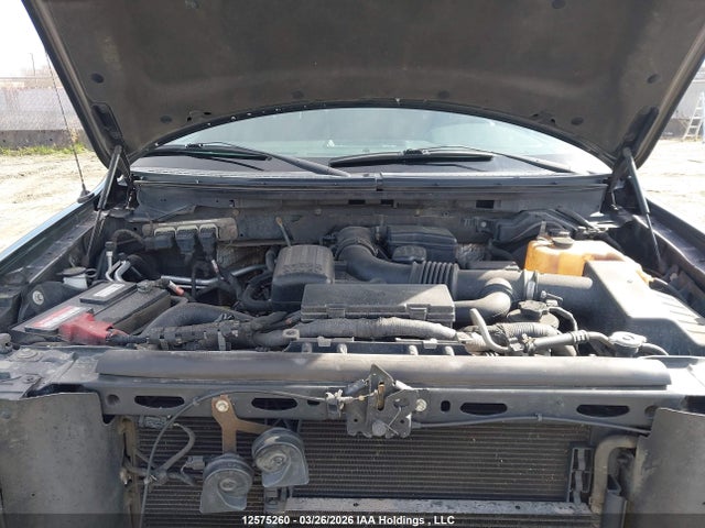Продаж на аукціоні авто 2010 Ford F-150, vin: 1FTFW1EV9AFA01066, номер лоту: 12575260