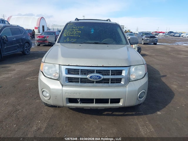 Продаж на аукціоні авто 2010 Ford Escape Xlt, vin: 1FMCU9DG8AKA28899, номер лоту: 12575345