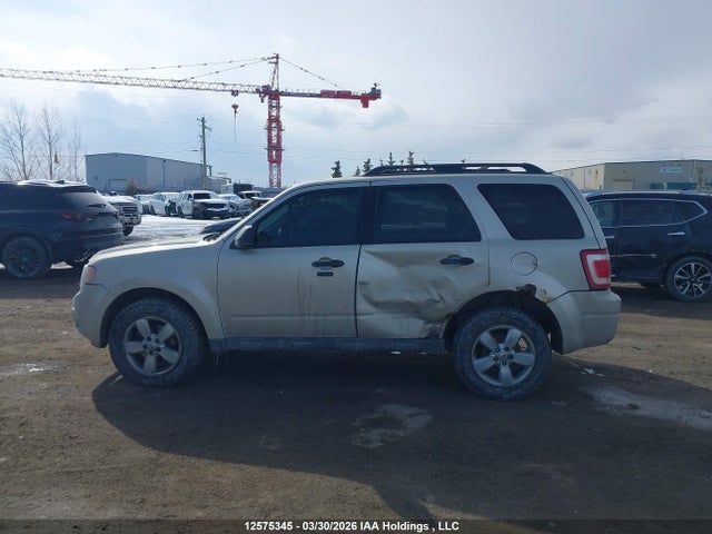 Продаж на аукціоні авто 2010 Ford Escape Xlt, vin: 1FMCU9DG8AKA28899, номер лоту: 12575345