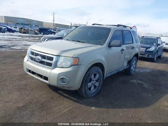 Продаж на аукціоні авто 2010 Ford Escape Xlt, vin: 1FMCU9DG8AKA28899, номер лоту: 12575345