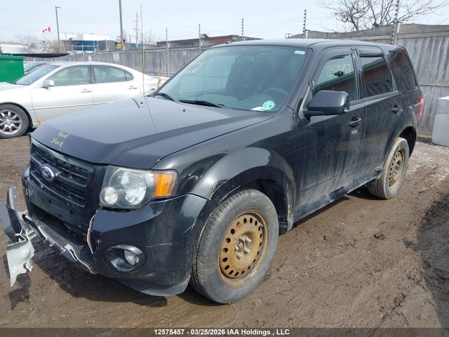 Продаж на аукціоні авто 2011 Ford Escape Xlt, vin: 1FMCU0DG6BKB31543, номер лоту: 12575457