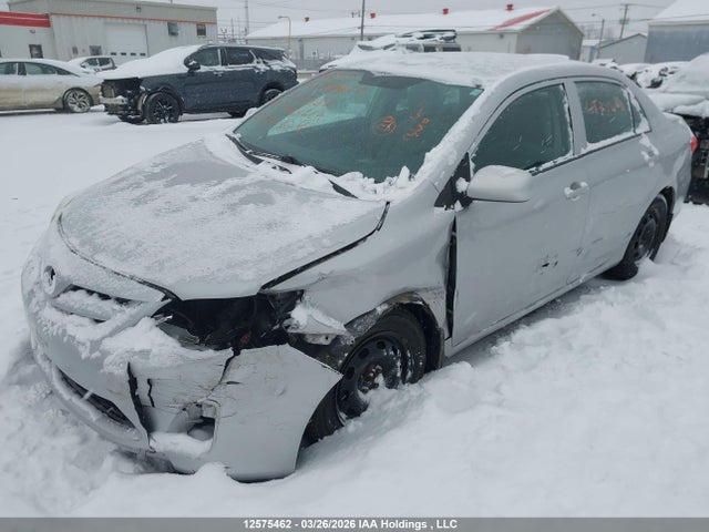 12575462 :رقم المزاد ، 2T1BU4EE8CC885888 vin ، 2012 Toyota Corolla مزاد بيع