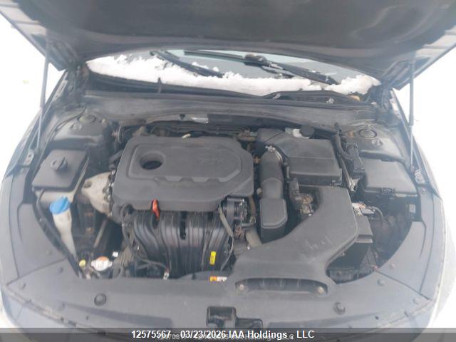 12575567 :رقم المزاد ، 5XXGT4L36GG044600 vin ، 2016 Kia Optima Lx/lx+ مزاد بيع