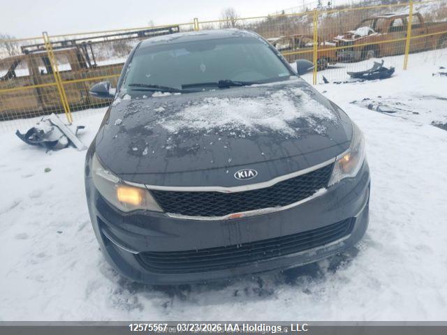 12575567 :رقم المزاد ، 5XXGT4L36GG044600 vin ، 2016 Kia Optima Lx/lx+ مزاد بيع