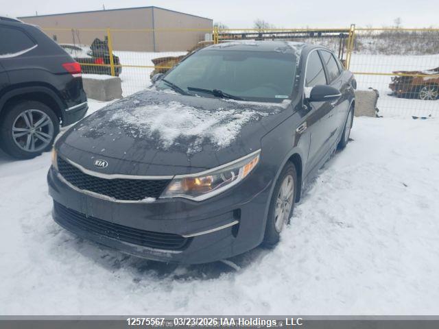 12575567 :رقم المزاد ، 5XXGT4L36GG044600 vin ، 2016 Kia Optima Lx/lx+ مزاد بيع