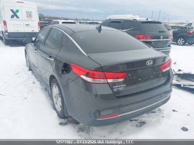 12575567 :رقم المزاد ، 5XXGT4L36GG044600 vin ، 2016 Kia Optima Lx/lx+ مزاد بيع