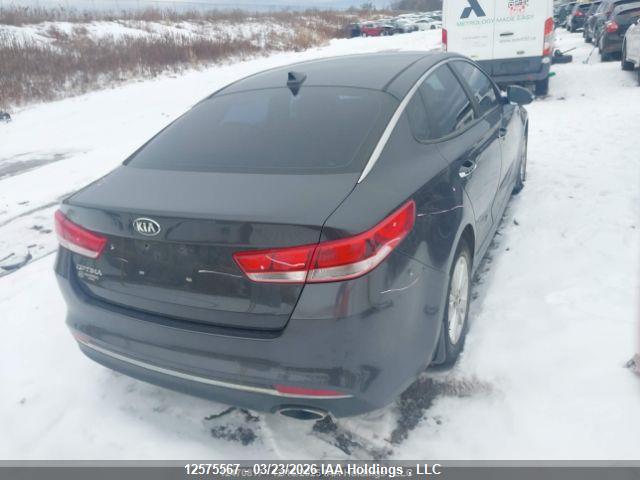 12575567 :رقم المزاد ، 5XXGT4L36GG044600 vin ، 2016 Kia Optima Lx/lx+ مزاد بيع