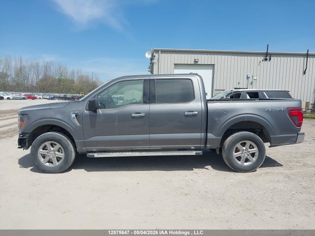 1FTFW3L81RKD95223 Ford F150 Xlt