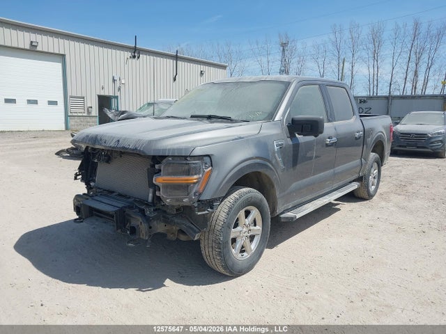 1FTFW3L81RKD95223 Ford F150 Xlt