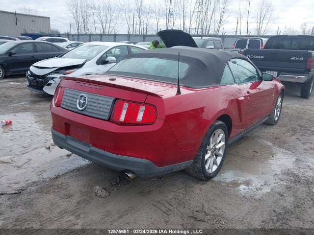 2010 Ford Mustang მანქანა იყიდება აუქციონზე, vin: 1ZVBP8EN8A5171264, აუქციონის ნომერი: 12575651