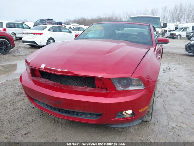 2010 Ford Mustang მანქანა იყიდება აუქციონზე, vin: 1ZVBP8EN8A5171264, აუქციონის ნომერი: 12575651