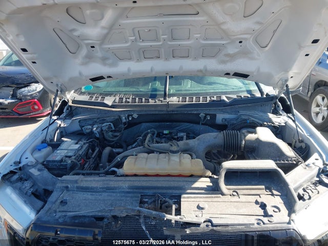 Продаж на аукціоні авто 2019 Ford F-150, vin: 1FTEW1EP2KFA25000, номер лоту: 12575675