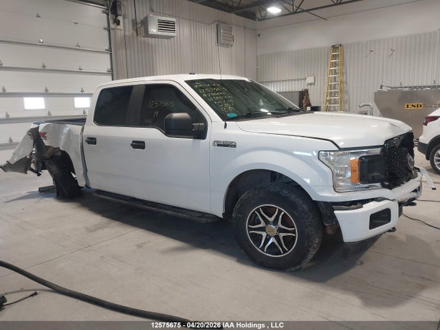 Продаж на аукціоні авто 2019 Ford F-150, vin: 1FTEW1EP2KFA25000, номер лоту: 12575675