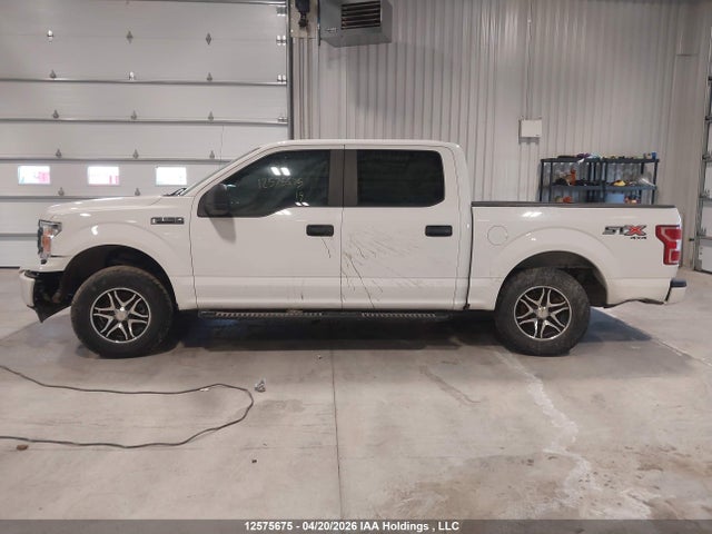 Продаж на аукціоні авто 2019 Ford F-150, vin: 1FTEW1EP2KFA25000, номер лоту: 12575675