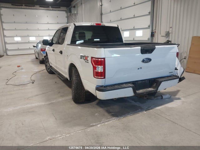 Продаж на аукціоні авто 2019 Ford F-150, vin: 1FTEW1EP2KFA25000, номер лоту: 12575675